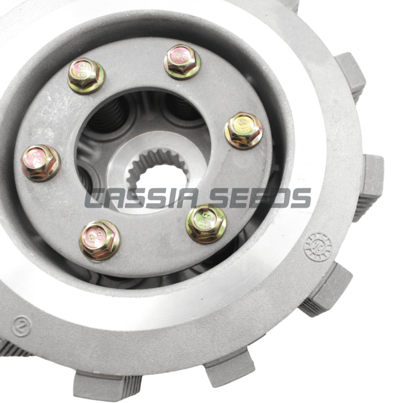 Kit Frizione Motore Moto con D - Model Kit Engine recensione e prezzo